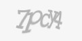 Защитный код